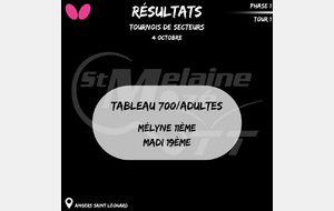Résultat Tournoi de secteur 04/10