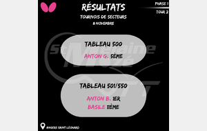 Résultat Tournoi de secteur 08/11
